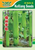 Seeds丨法国电池初创公司Verkor获得超13亿欧元投资