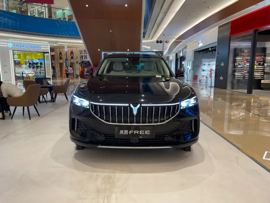 极狐6月领先、岚图半程夺冠,六小龙开始分化?