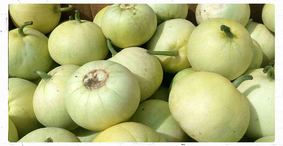 后驱掀背小轿跑 小鹏MONA M03部分参数解析