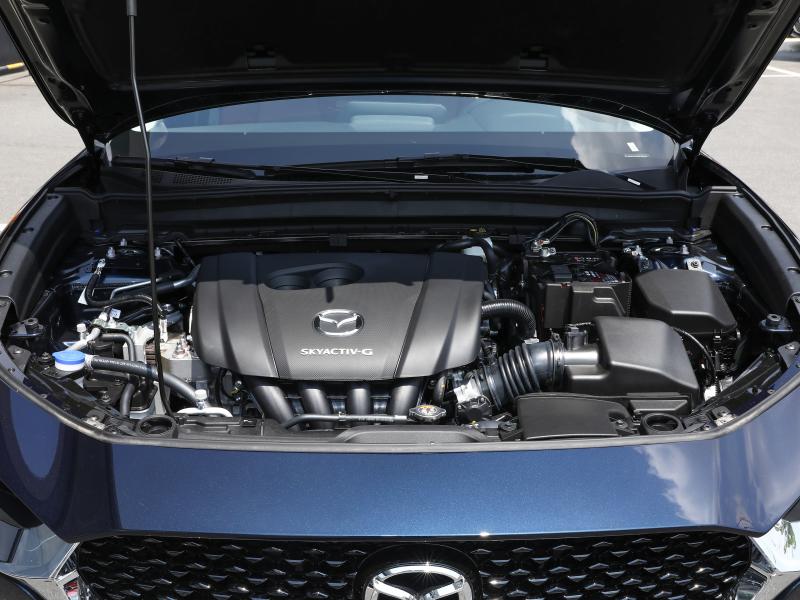 9.98万起 升级续航还送全车保险 2025款海豚上市