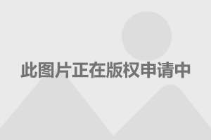 美国政府拨款5.21亿美元，用于部署电动汽车充电网络