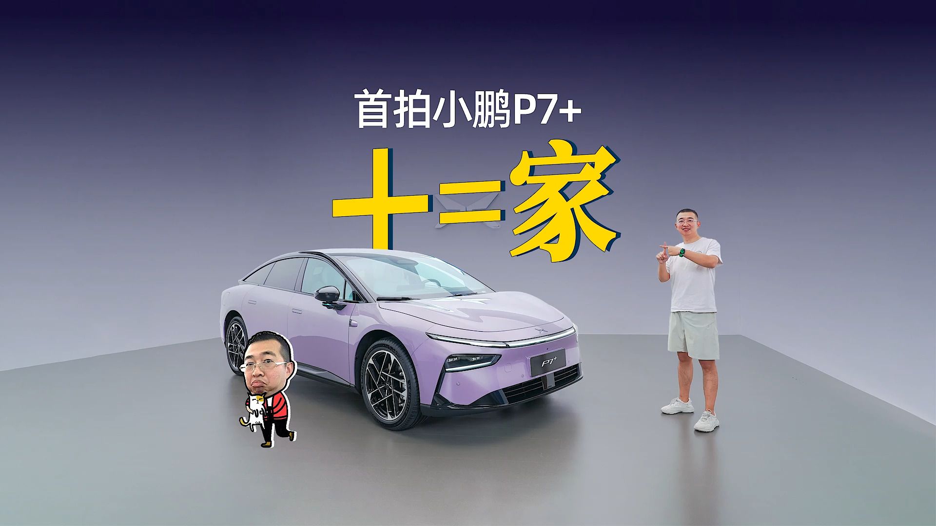 纯视觉方案,为高阶智驾卸包袱?