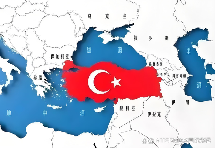 中国就电动汽车关税在世贸组织对土耳其提出申诉